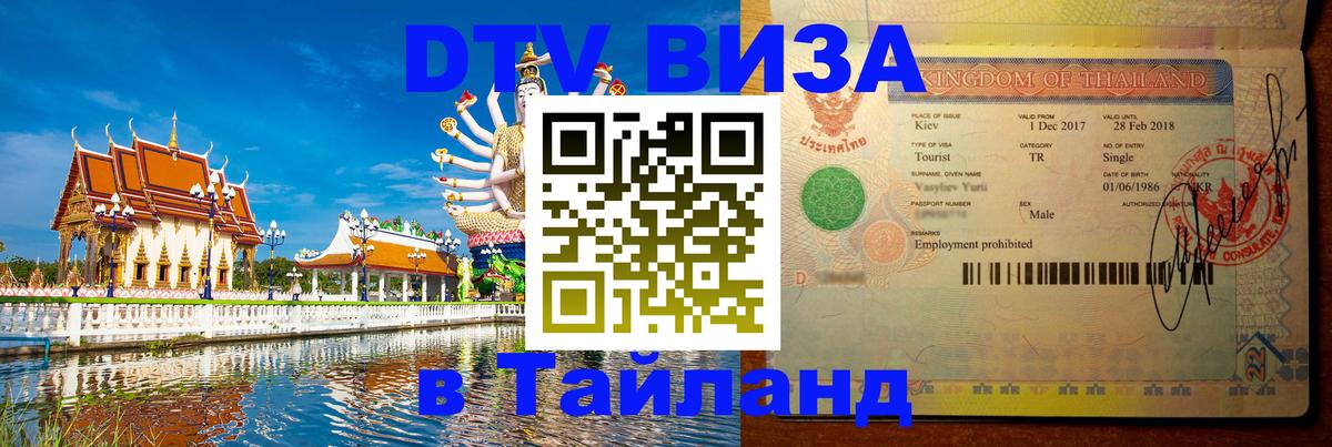 Сколько стоит DTV виза — актуальные цены, оформление даже без документов - Чебоксары 